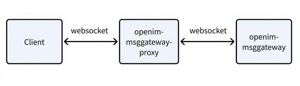 Long Connection Link